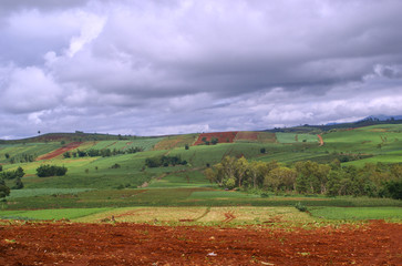 Fototapeta na wymiar landscape of village and clouds