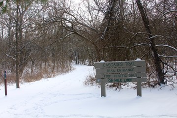 The beginning of the snow covered trail in the forest.