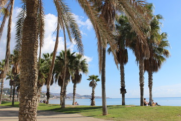 Fototapeta premium Beach
