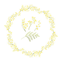 Mimosa flower wreath. Round frame for spring season design