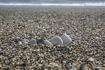Fototapeta na wymiar closeup of pebbles on the beach