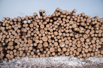 Timber in piles beside a road in a forest in Sweden