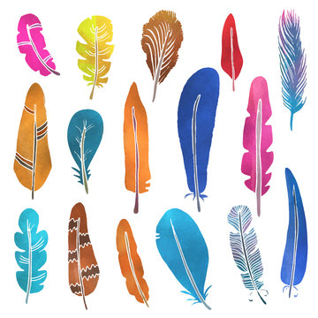 Hand painted watercolor feathers set