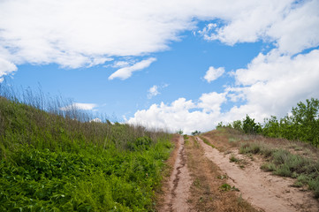 Fototapeta na wymiar Beautiful summer spring nature of the Saratov region. Cloudy day, the path to the house by the field