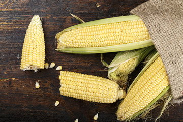 Fresh corn on cobs on rustic wooden table, closeup