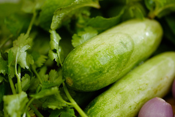 Close up ingredient cucumber, Shallots ,Onion, coriander. (selective Focus)