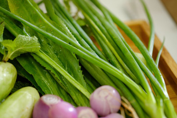 Close up ingredient cucumber, Shallots ,Onion, coriander. (selective Focus)