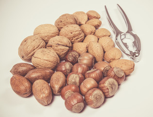 Different types of nuts in a shell on a white background.