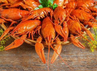 crawfish on wooden background