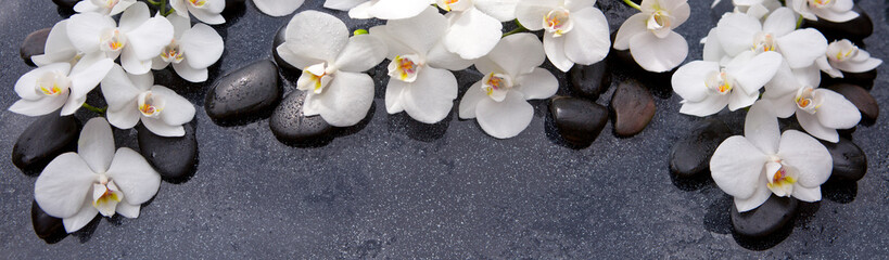 Fototapeta na wymiar Spa background with white orchid and black stones.