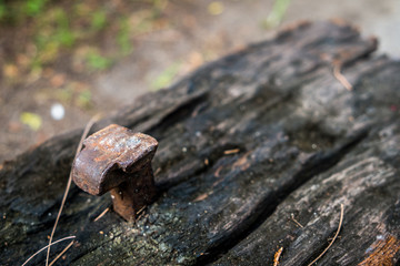 The old railroad tie with old nail in morning sun