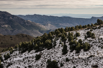 Aitana mountain in Alicante,(Spain).