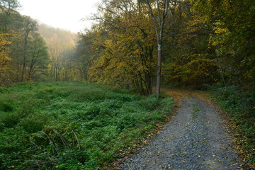 Obraz premium The landscape of the Czech Karst