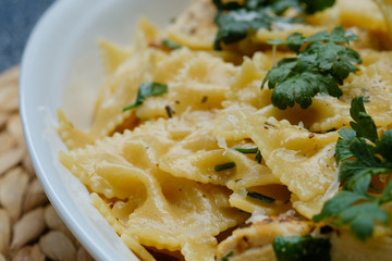 Close up Homemade   Chicken Alfredo Pasta. (selective Focus)