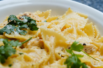 Close up Homemade   Chicken Alfredo Pasta. (selective Focus)