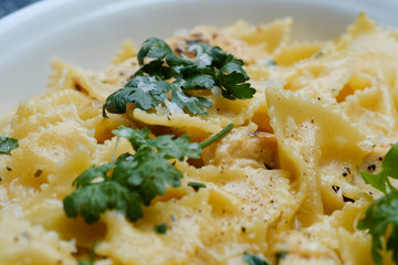 Close up Homemade   Chicken Alfredo Pasta. (selective Focus)
