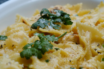 Close up Homemade   Chicken Alfredo Pasta. (selective Focus)