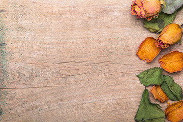 Dried orange roses on old wooden background, copy space