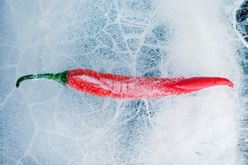 Red chili pepper frozen in ice