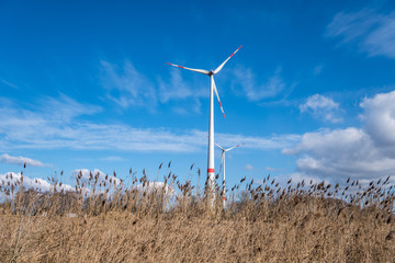 wind turbines standing in the field on a sunny winter day