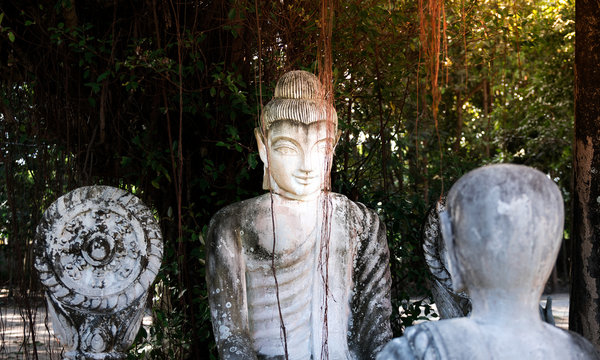 White Buddha statue with black stain under the Banyan tree with shadows and sunlight.The monastery is place of religious importance and public for general people either Thai and foreign visitors.