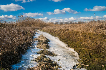 frozen grassland on a cold winter sunny day