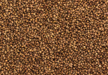 Buckwheat grain texture