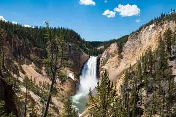 Upper Yellowstone Falls in Yellowstone National Park, Wyoming, United States.