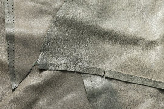 The velvet texture of the skin.