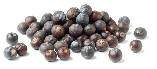 dried juniper berries isolated on white