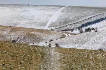Snowy South Downs Landscape © lemanieh