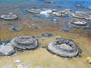 Lake Thetis and Stromatolites