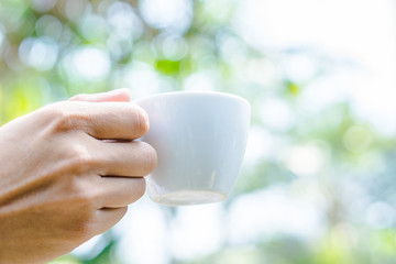 Hand holding white cup of coffee over blur on many leaves background, mock up, template, green leaves concept