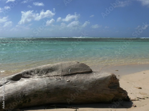 Plage Paradisiaque De Bois Jolan Près De Sainte Anne En