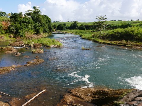 Rivi&egrave;re sauvage Goyave sur Basse-Terre en Guadeloupe