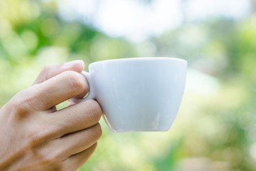 Hand holding white cup of coffee over blur on many leaves background, mock up, template, green leaves concept