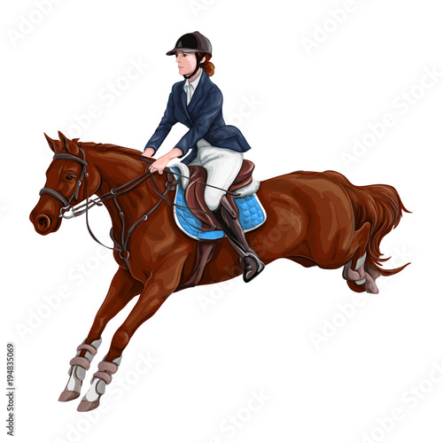 Download "Woman, Girl riding horses Vector Illustration, isolated." Stock image and royalty-free vector ...