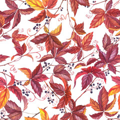 Hand drawn colorful seamless pattern with watercolor wild grape. Autumn repeated background