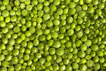 background of fresh green peas on water