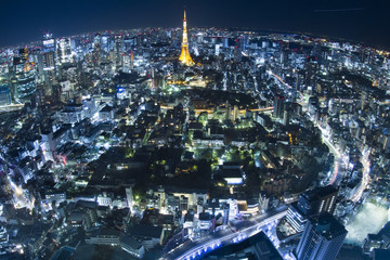 Fototapeta premium 東京夜景
