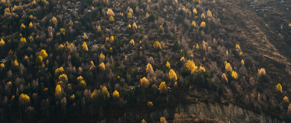 a magical landscape, mountain slopes are covered with trees and plants, top view