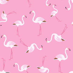 Obraz premium seamless pattern flamingo bird, vector illustration on pink background