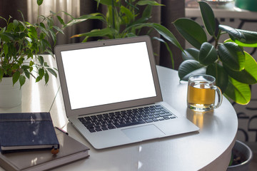  Workplace with laptop on white table and next to plants