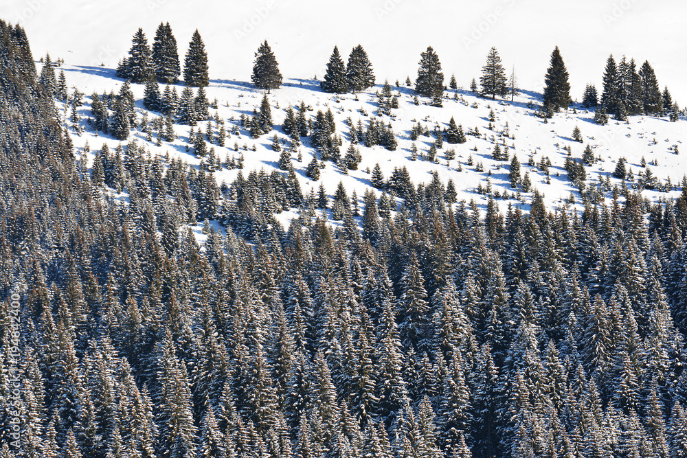 Sticker Winter landscape in Bucegi mountains, Romania