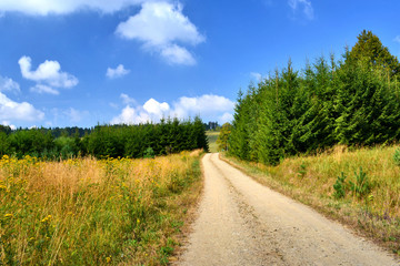 Fototapeta na wymiar Rural road and summer landscape, Beskid Niski, Poland