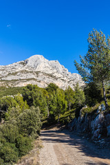 Fototapeta na wymiar the Sainte Victoire mountain, in Provence
