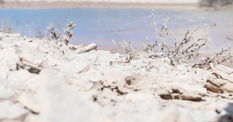 Dürre / Austrocknung / Klimawandel