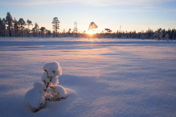 Abendsonne in der Winterlandschaft Schwedens © Kathrin