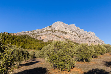 Fototapeta na wymiar the Sainte Victoire mountain, in Provence