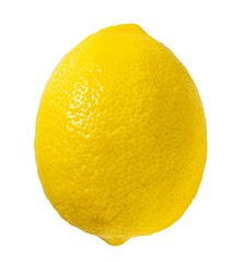 Isolated lemon on white background close up picture